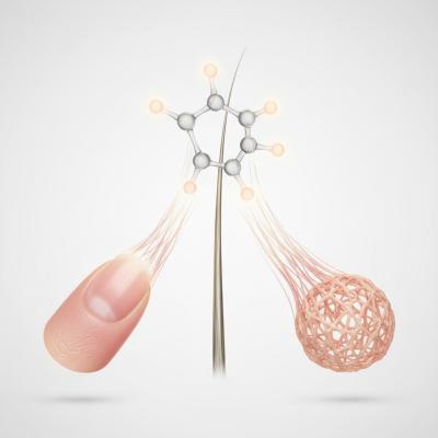 Exsynutriment®: A Ciência da Pele Jovem